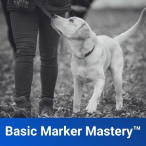 Basic Marker Mastery™