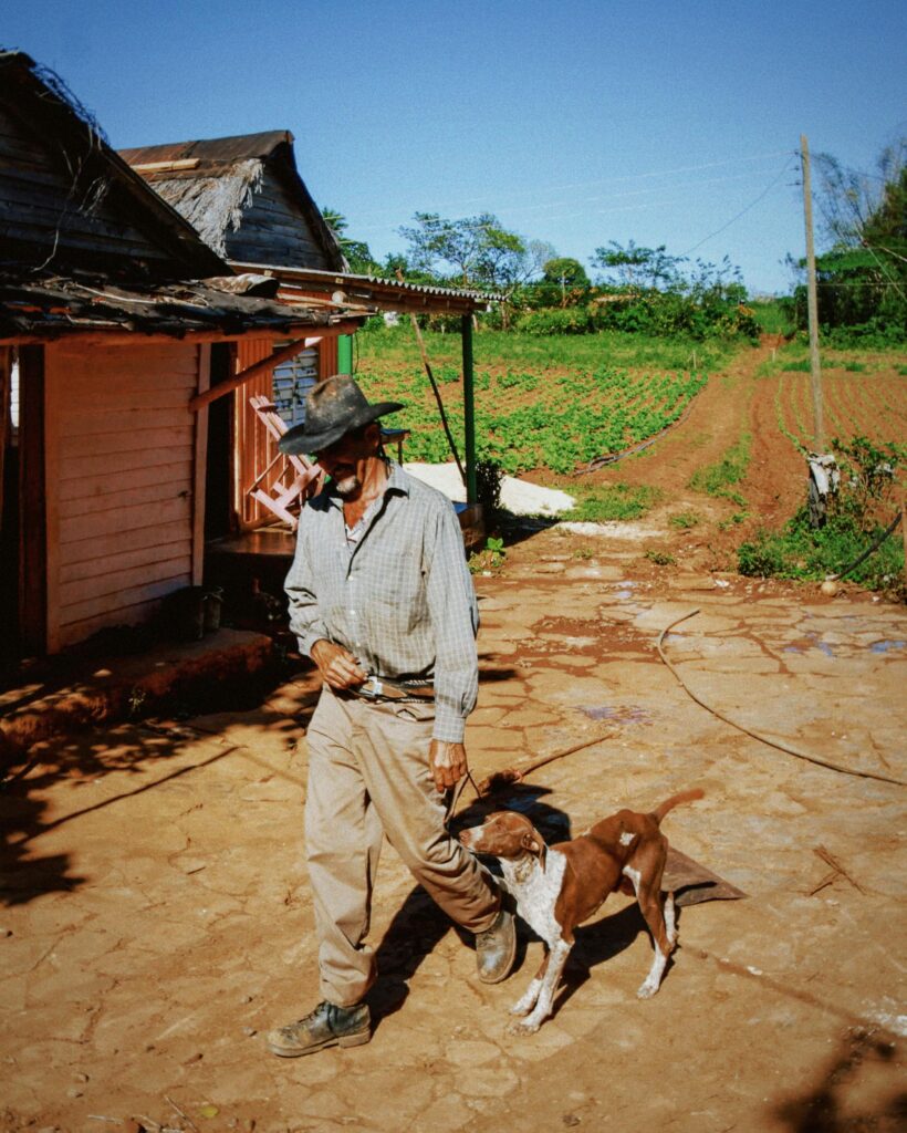 Veterans Special: The Incredible Impact of Dog Training on PTSD
