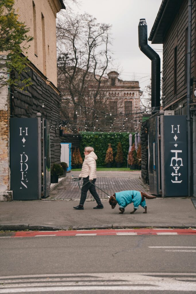 Holiday Hazards: Dangerous Foods, Decorations, and More 