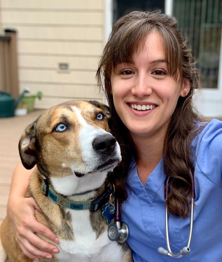 Why Vets and Trainers Often Work Together on Behavior