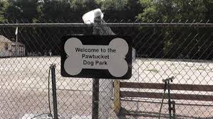 Dog park training checklist for safer spring play in Providence RI