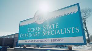 Vet visit training routine for calmer appointments in Rhode Island