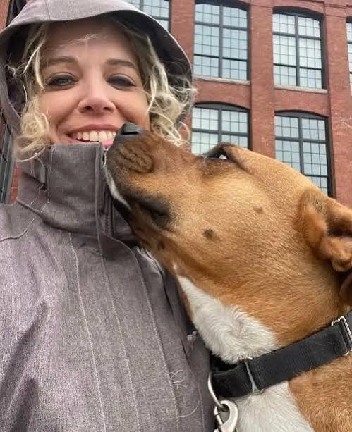 Dog walker training practice for calm leash hand-offs in Providence RI