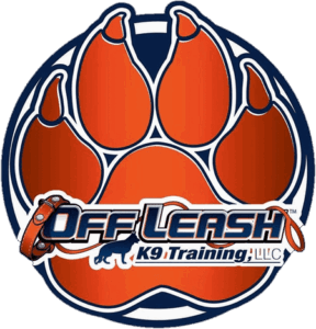 Lindsay Diez — Off Leash K9 Training of Providence