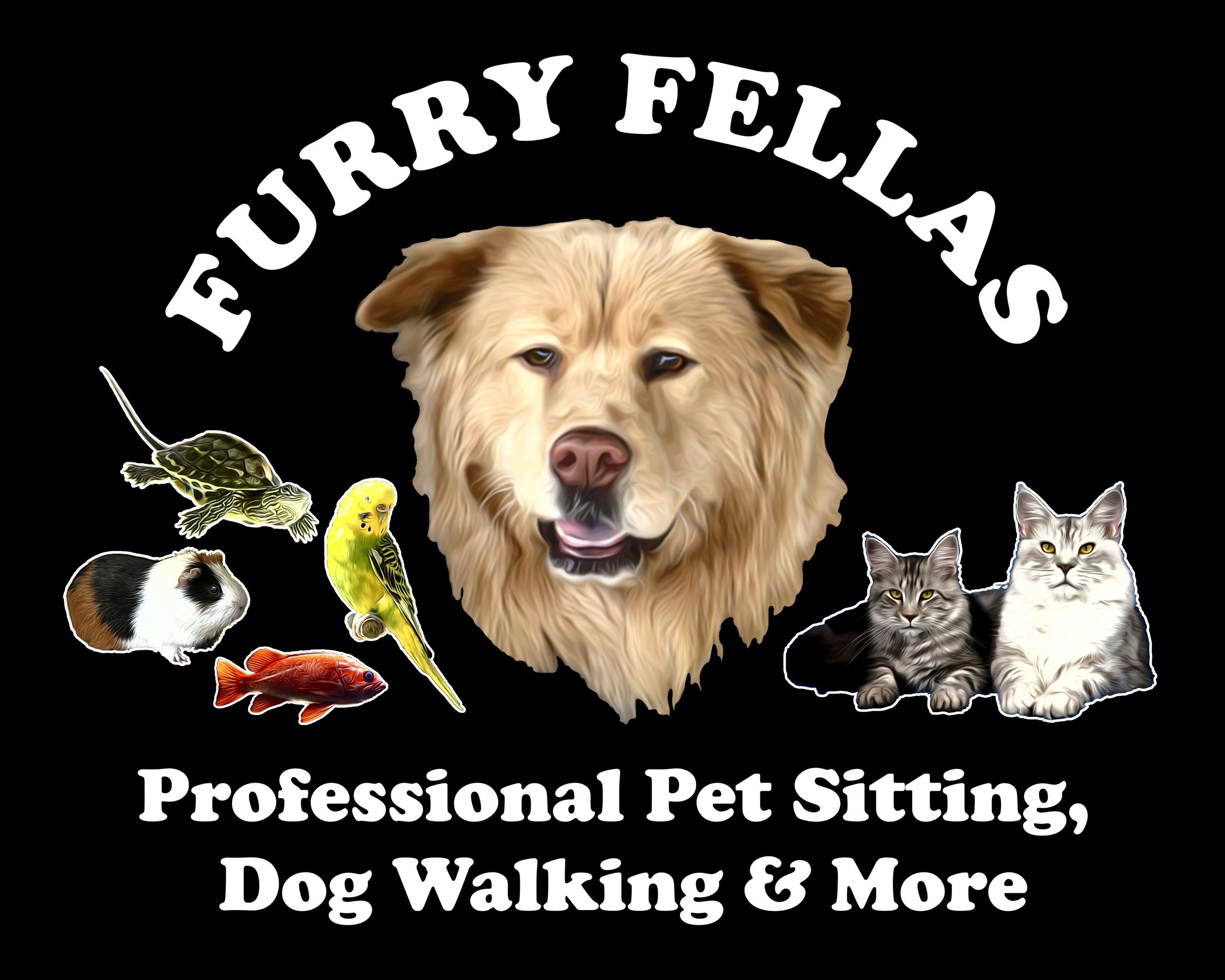 Dog walking training in Providence with a calm dog walking beside its owner