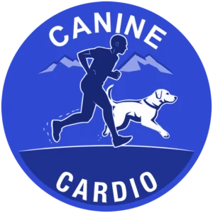 High-energy dog training in Providence with an active dog practicing calm obedience outdoors