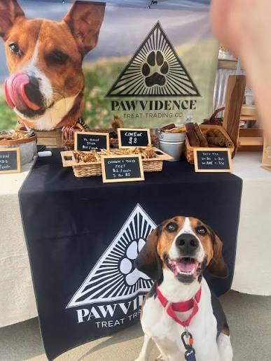 Dog training treats for better focus and obedience in Providence RI